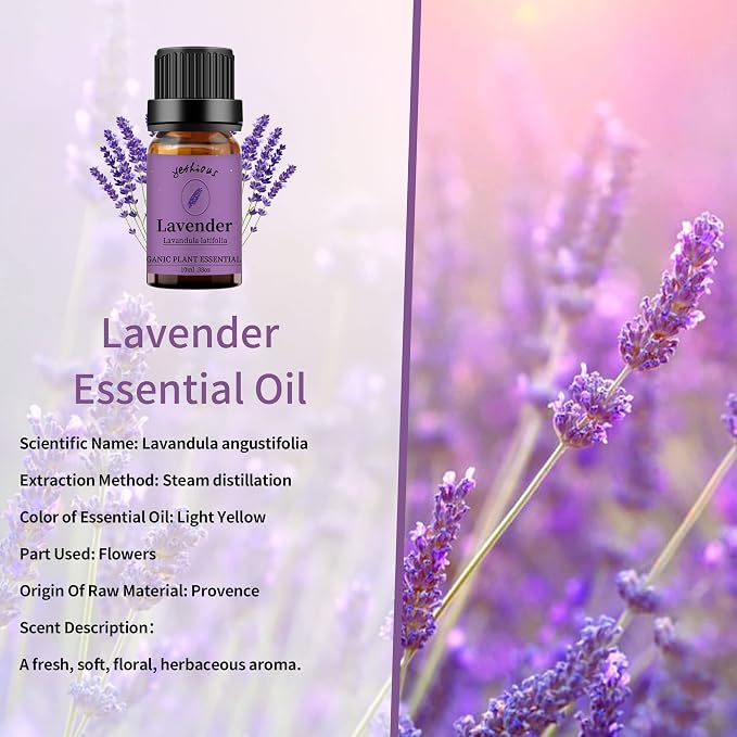 yethious Lavender Vanilla Sandalwood Essential Oil 100% Pure Organic Lavender - Image 3