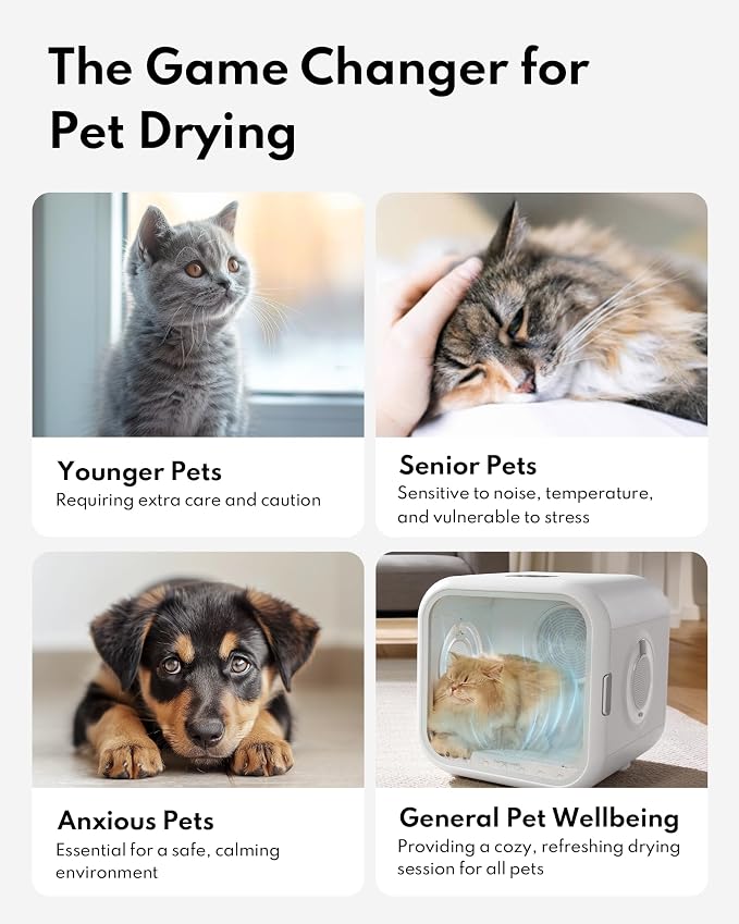 HomeRunPet Cat Dryer, 360° Efficient Automatic and Quiet Box - Image 2