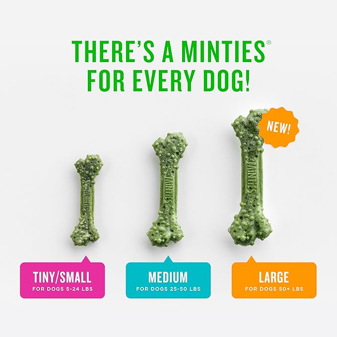 Minties Dog Dental Bone Treats, Tiny/Small Dental Dog Treats, 5-25 lbs - Image 4