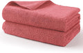 HOMEXCEL Professional Large Microfiber Car Drying Towels 2 Pack, Lint Free by HOMEXCEL