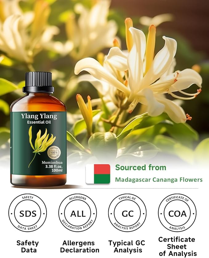 Mumianhua 100% Pure Ylang Ylang Essential Oil Natural Ylang Ylang Oil - Image 6