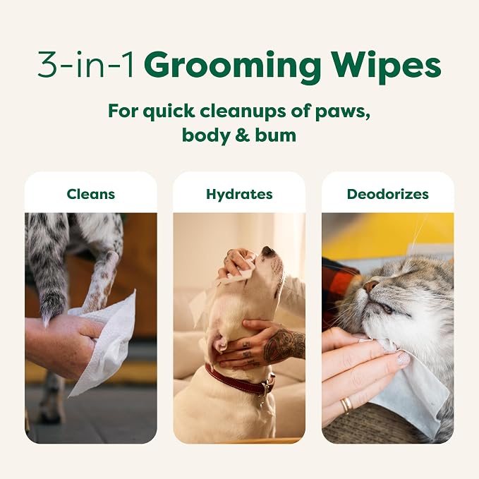 Earth Rated Pet Wipes for Dogs and Cats, Hypoallergenic, 3-in-1 Cleaning - Image 4