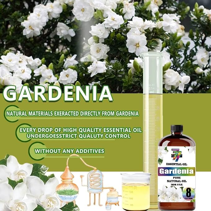 Gardenia Essential Oil – Gardenia Oils - Image 8
