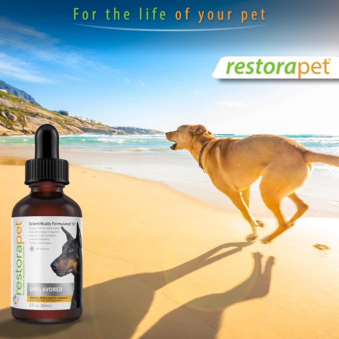 RestoraPet 1-Pack Dog & Cat Beef Liquid Multivitamin | Dog Arthritis Pain - Image 6