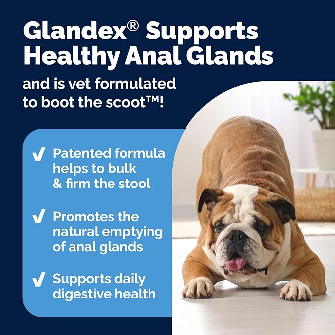 Vetnique Glandex Anal Gland Health Soft Chew Treats - Image 4