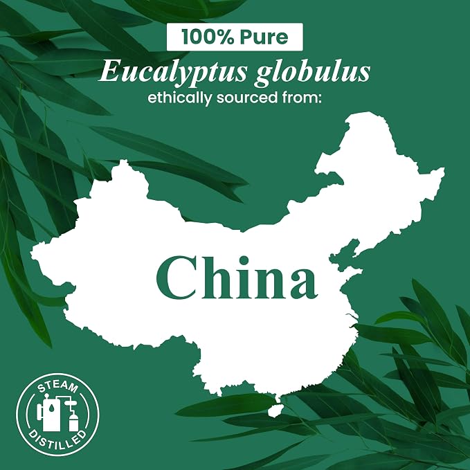 Handcraft Blends Eucalyptus Essential Oil – 1 Fl Oz – 100% Pure and Natural – - Image 7