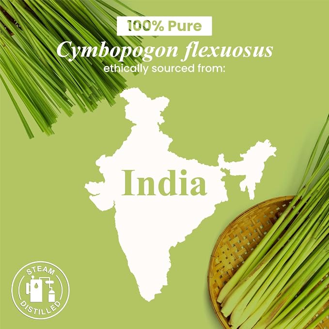 Handcraft Blends Lemongrass Essential Oil – 0.33 Fl Oz – Pack of 2 – 100% Pure - Image 6