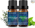 BURIBURI Eucalyptus Oil and Peppermint Essential Oil, 100% Pure, Organic by BURIBURI
