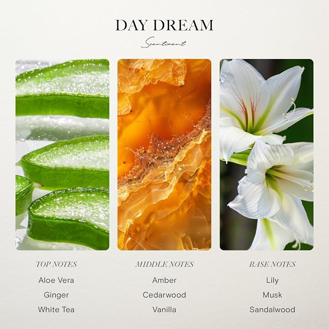 Scentiment Hotel Diffuser Oil Discovery Kit | Inspired by Five Star & Luxury - Image 5