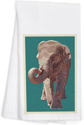 Asian Elephant, Letterpress by LanternPress