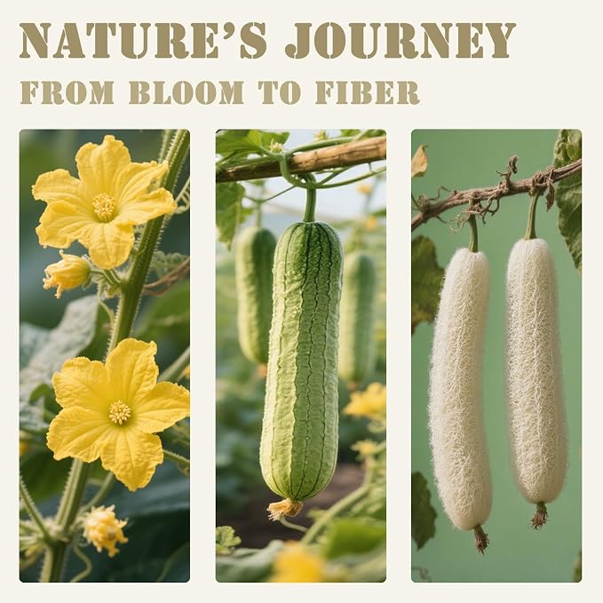 Natural Loofah Body Scrubber for Sensitive & All Skin Types, Made - Image 7