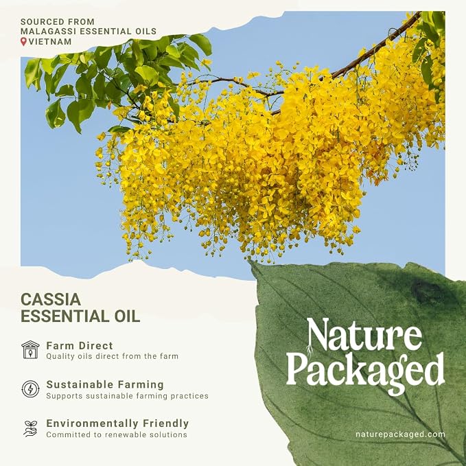 Cassia Essential Oil - Image 3