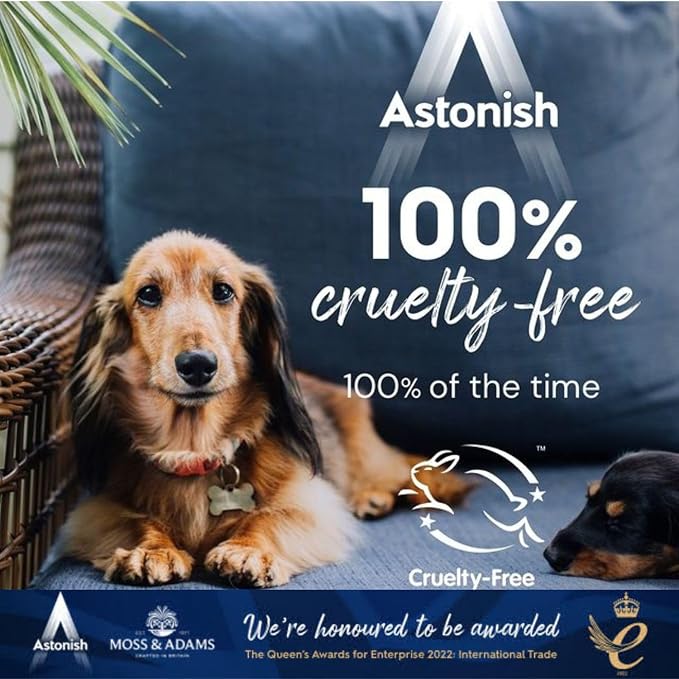 Astonish 750ml Streak-Free White Jasmine & Basil Foaming Bathroom Cleaner Spray - Image 6