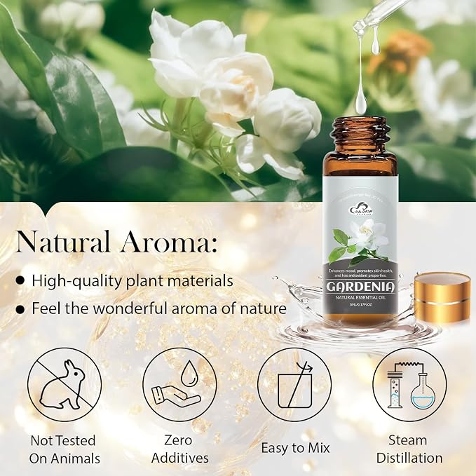 Essential Oil Set, Home Care, Humidifier Laundry, Perfume and Candle Making - Image 6