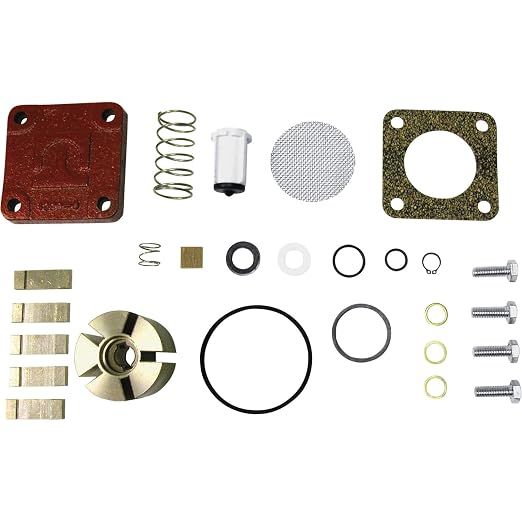 Fill-Rite 4200KTF8739 Rebuild Kit by Fill-Rite