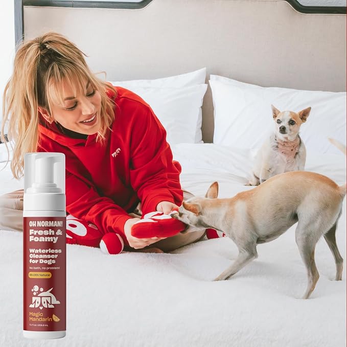 OH NORMAN! Hypoallergenic Magic Mandarin Scent Fresh and Foamy Dry Shampoo - Image 6