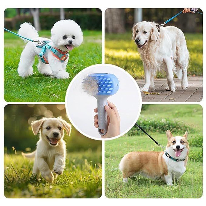 Multiple Dog Brushes, Dog Wash Brushes, Pet Grooming Brush Baths Massage Comb - Image 2