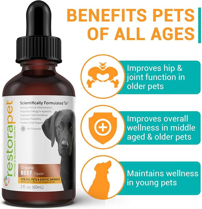 RestoraPet 4-Pack Dog & Cat Beef Liquid Multivitamin | Dog Arthritis Pain - Image 2