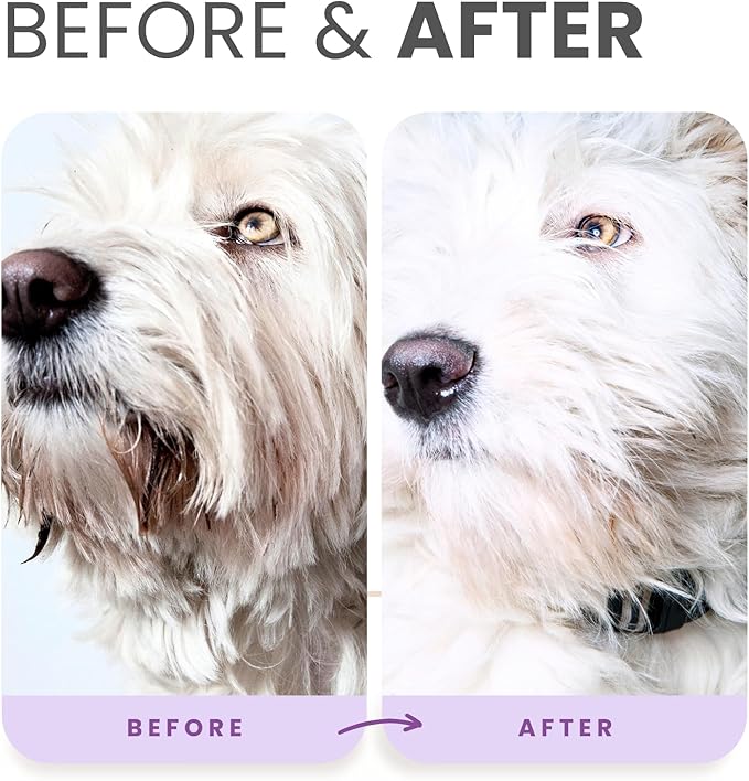 Lillian Ruff PRO Formula Ultra Brightening Dog Shampoo - Image 4