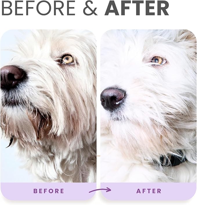 Lillian Ruff PRO Formula Ultra Brightening Dog Shampoo & Leave-in Conditioner - Image 5