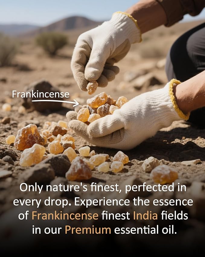 Pure Frankincense Essential Oil, 100% Natural Frankincense Oil, Premium Grade - Image 4