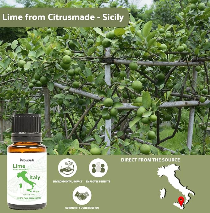 Lime Essential Oil - Image 3