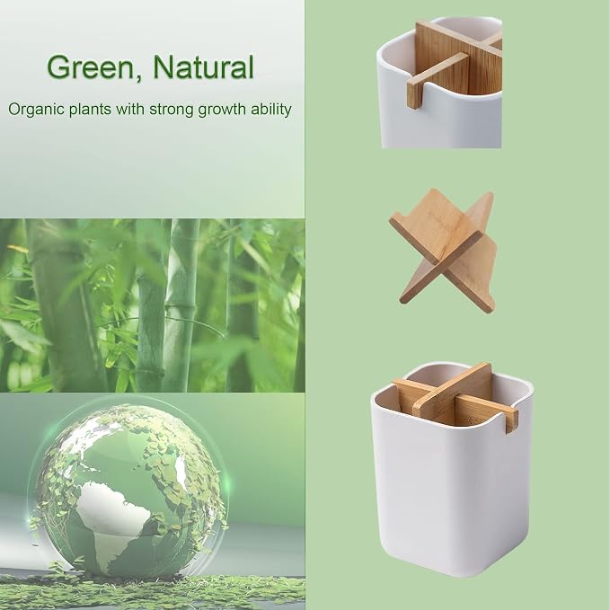 Aoheuo Bamboo-Toothbrush Holders-Multifunctional-Electric Toothbrush-Storage - Image 3