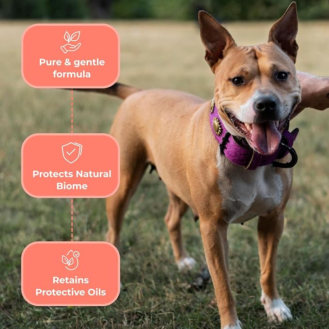 COAT DEFENSE Sensitive Dogs Shampoo | Made in USA | All-Natural Hypoallergenic - Image 4