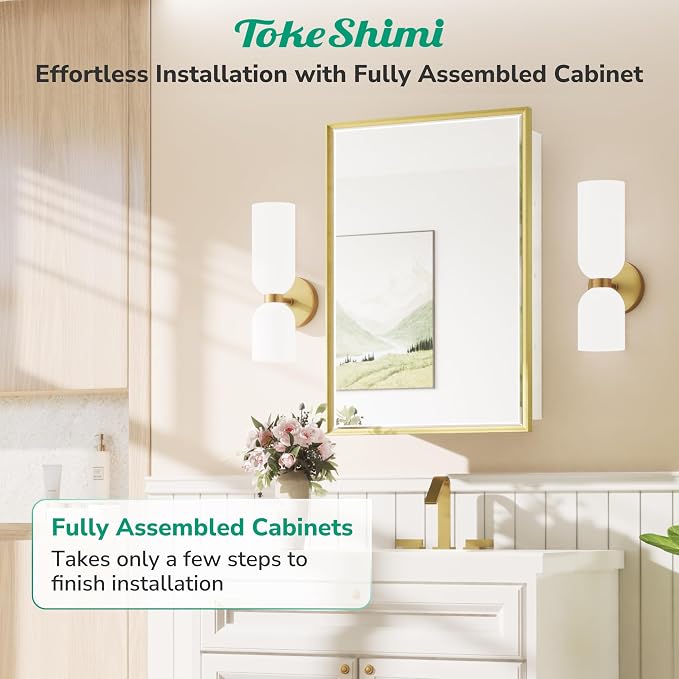TokeShimi 17x25 Recessed Medicine Cabinet - Image 7