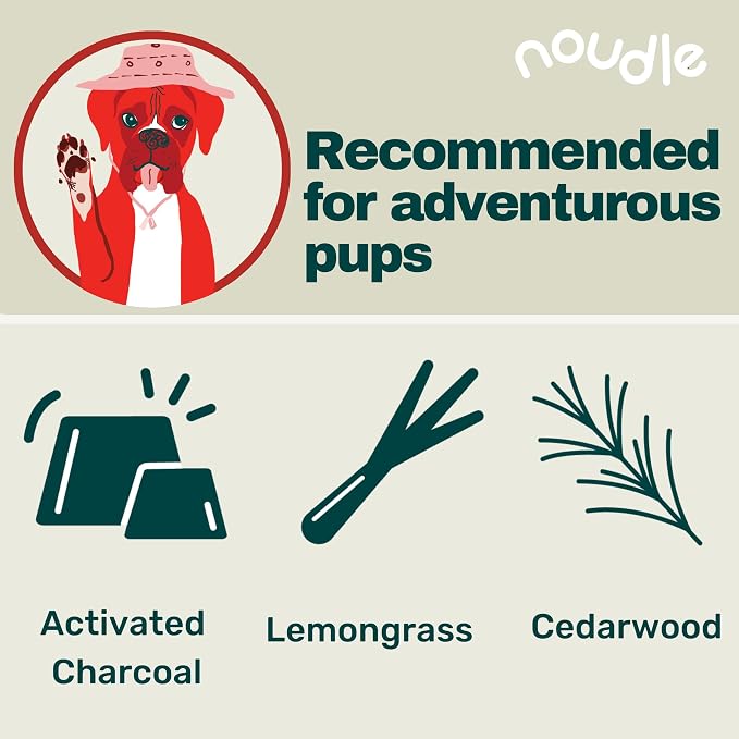 Pets - Deep Cleaning Shampoudle, Moisturizing and Gentle All Natural pet Shampoo - Image 2