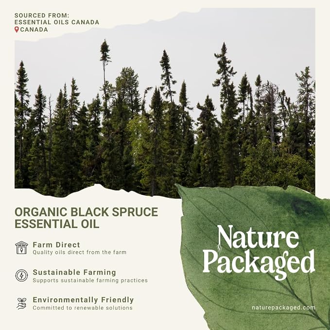 Organic Black Spruce Essential Oil from Canada - Image 6