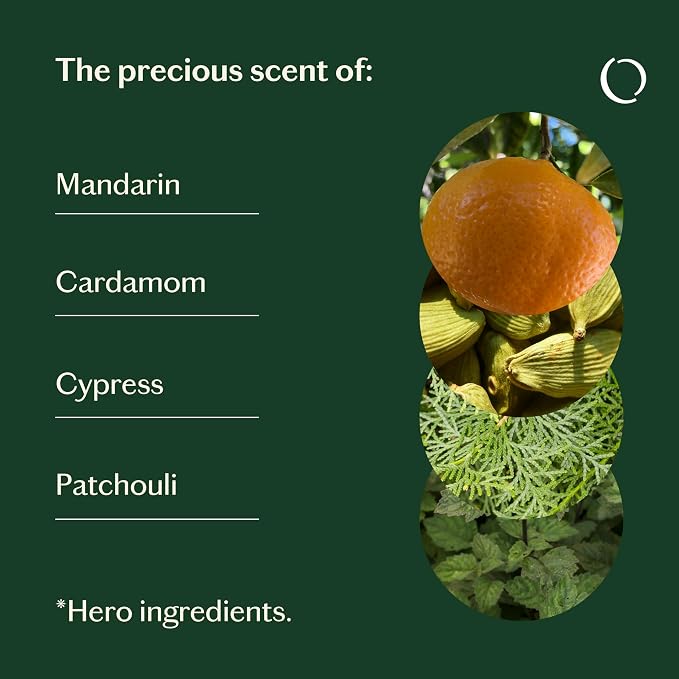 LIVEDROPS 24/7 Balanced Essential Oil Blend Mandarin Cardamom Cypress Patchouli - Image 4