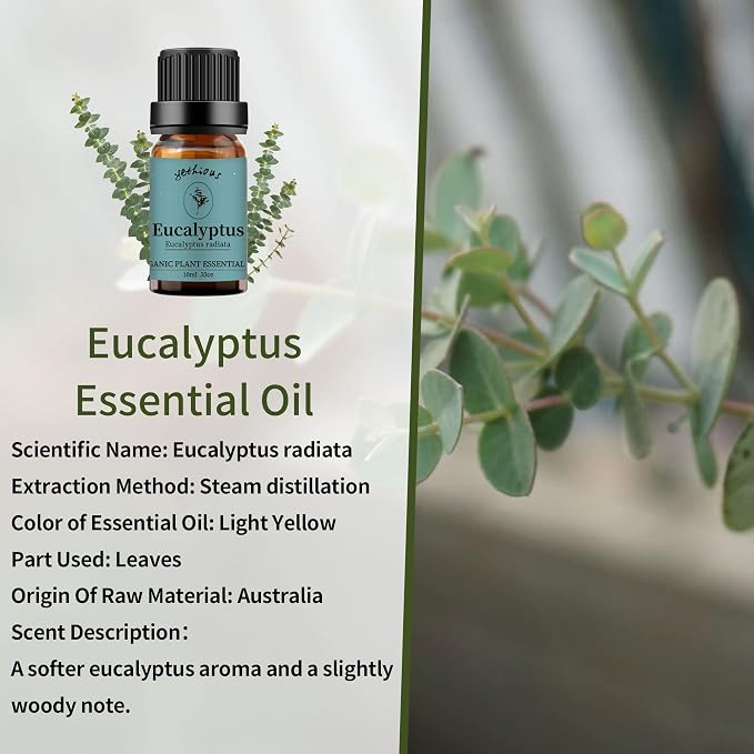 yethious Lavender Eucalyptus Essential Oil Organic Pure Plant Lavender Oil - Image 2
