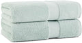 Aston & Arden Egyptian Bath Towels by AstonArden