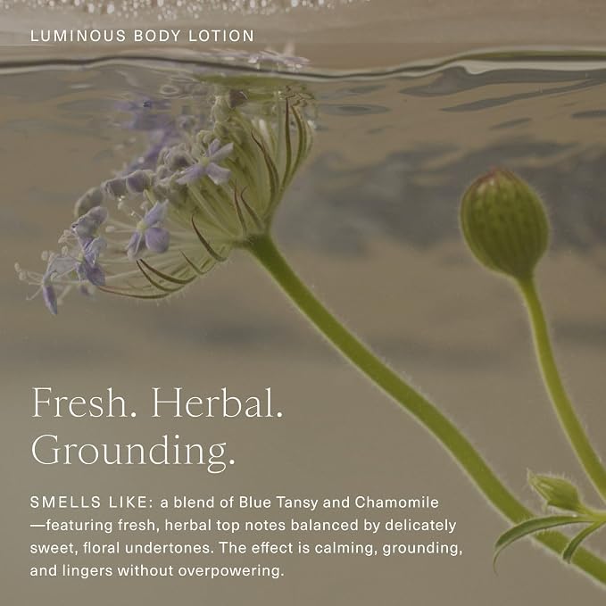 Oak Essentials Luminous Body Lotion | Hydrating Blue Tansy Body Lotion - Image 6