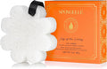 SPONGELLÉ Lily of The Valley Boxed Flower by Spongell%C3%A9