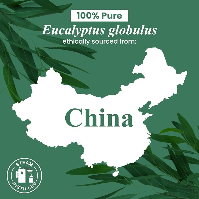 Handcraft Blends Organic Eucalyptus Essential Oil – 1 Fl Oz – 100% Pure and - Image 7