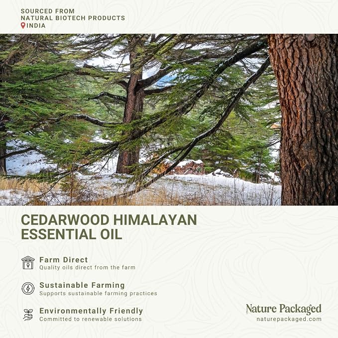 Cedarwood Himalayan Essential Oil - Image 2