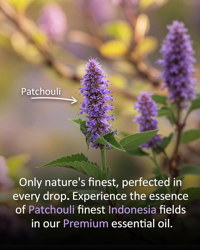 Pure Patchouli Essential Oil, 100% Natural Patchouli Essential Oil, Premium - Image 4