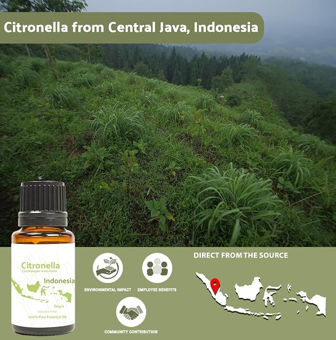 Citronella Essential Oil - Image 4