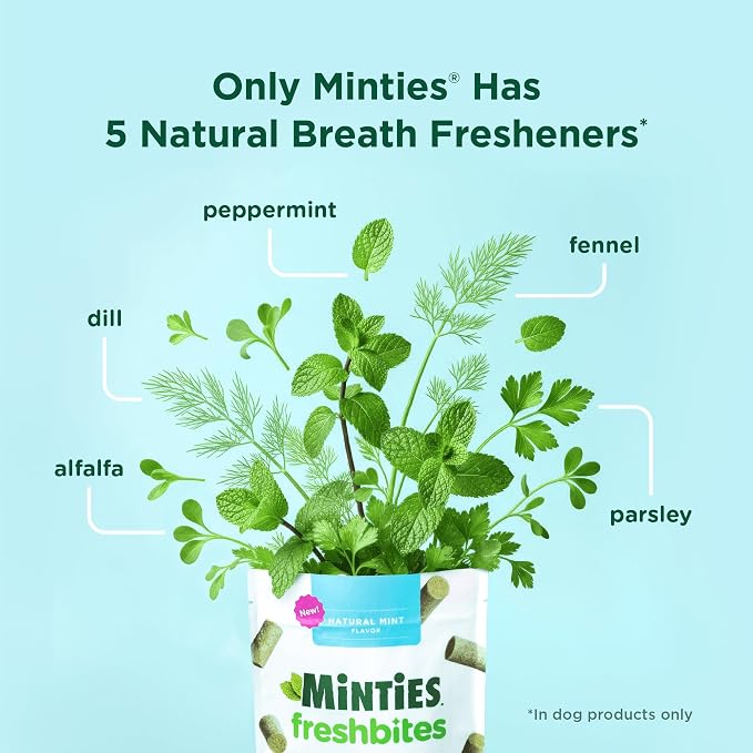 Minties FreshBites Soft and Chewy Dental Treats - Image 5
