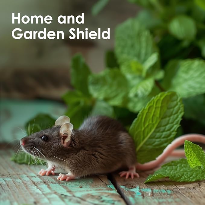 Peppermint Essential Oil – Natural Sweet Mint Aroma – Peppermint Aromatherapy - Image 8