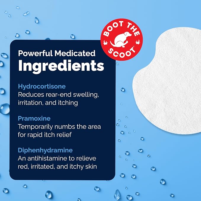Vetnique Glandex Medicated Dog Butt Wipes or Spray - Image 5