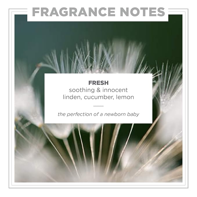 Zents Hand & Body Wash | Hydrating Anti-Aging Cleanser - Image 3