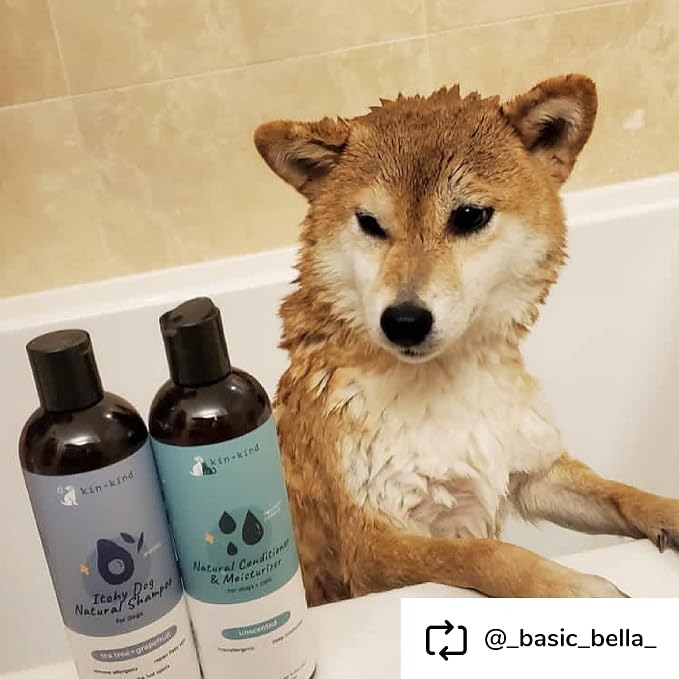 kin+kind Organic Dog Shampoo Itchy Skin Relief – Natural Dog Shampoo - Image 8
