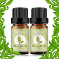 yethious White Tea Essential Oil White Tea Oil by yethious