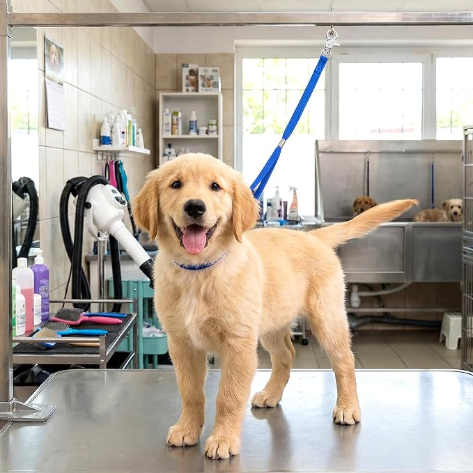 Adjustable Nylon Pet Grooming Loop - Image 6