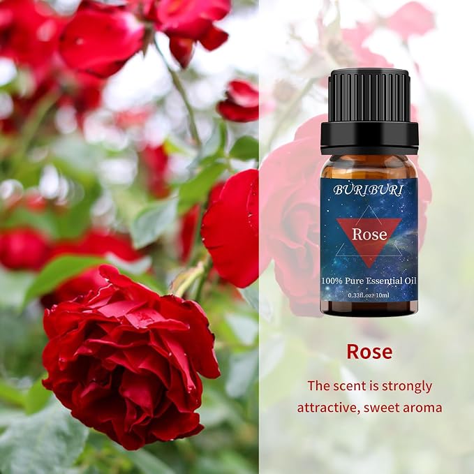 Rose and Sandalwood Essential Oil, 100% Pure, Organic Aromatherapy Essential - Image 2