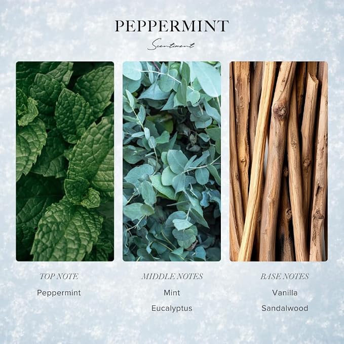Scentiment - Peppermint Winter Collection Diffuser Oils | Aromatherapy Home - Image 3