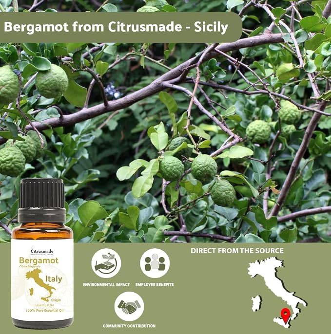 Bergamot Essential Oil - Image 4